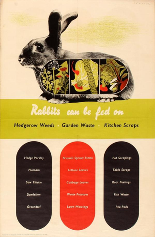 Illustration for article titled These Vintage Food Propaganda Posters Will Make You Look Differently at Your Lunch